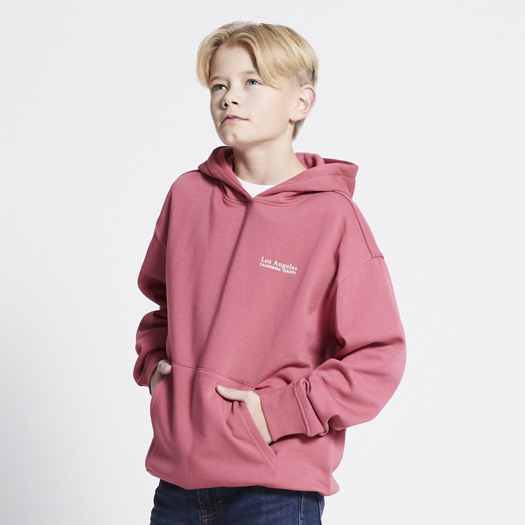 Printed hoodie "Jordon"